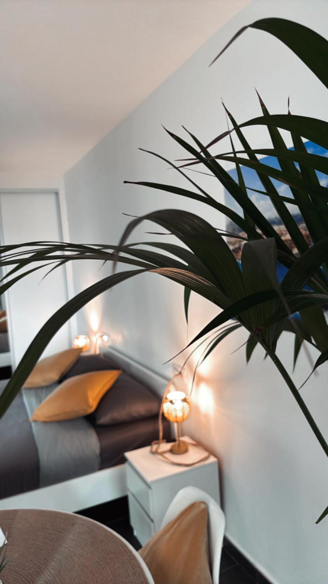 Marina Suites Tenerife Puerto de la Cruz  Dış mekan fotoğraf